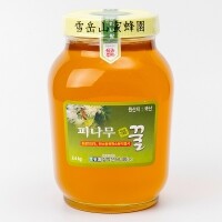 설악산허니팜 피나무꿀 2.4kg